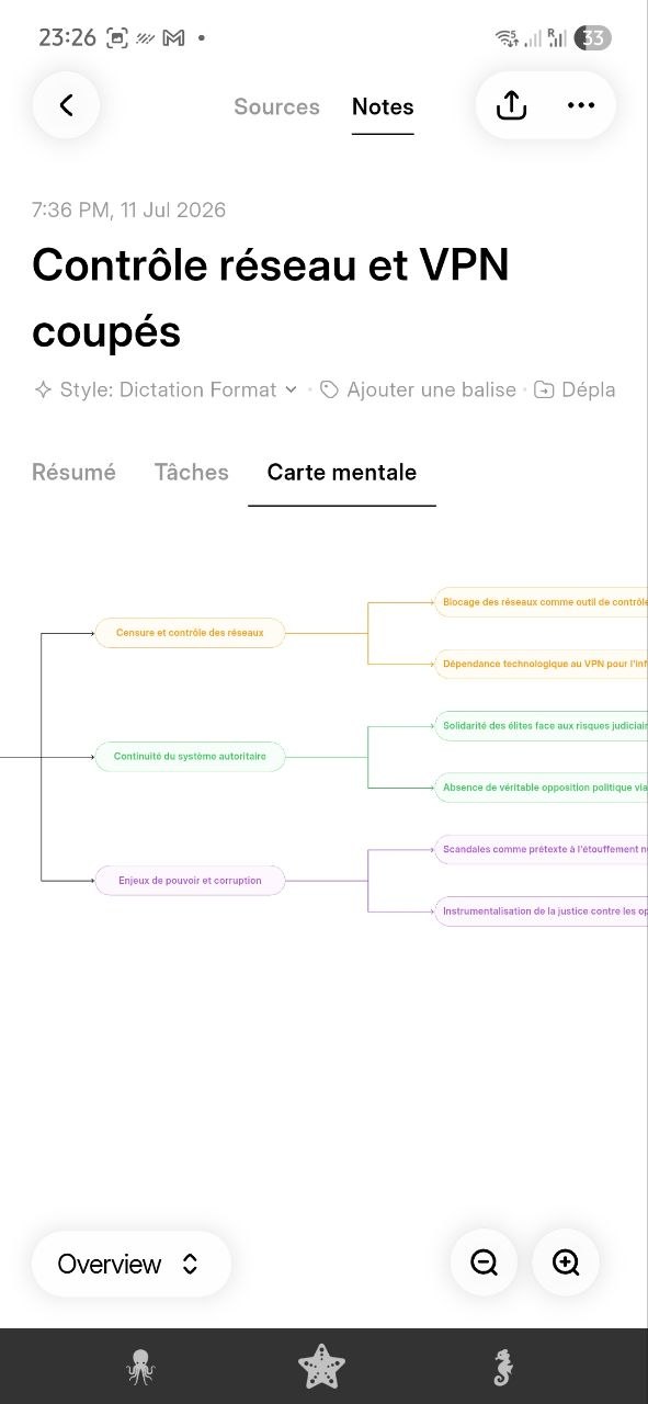 pocket ia avis - exemple carte mentale
