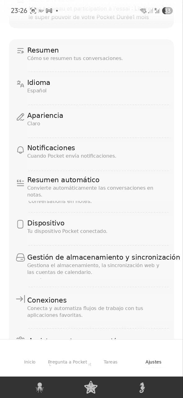 pocket ai opiniones - ajustes
