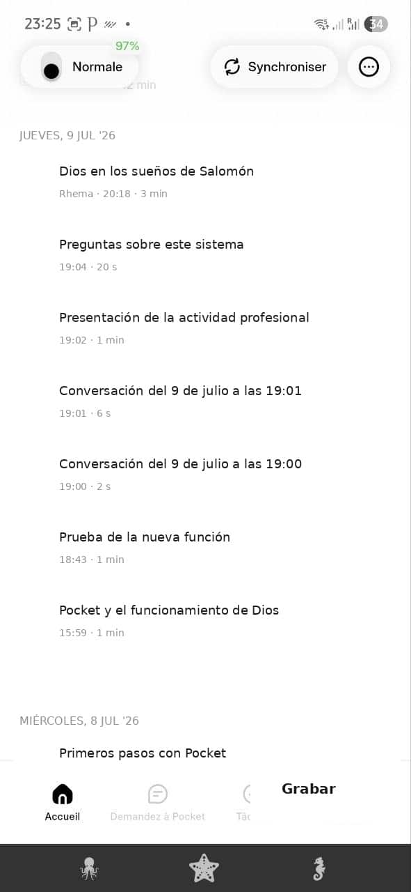 pocket ai opiniones - inicio