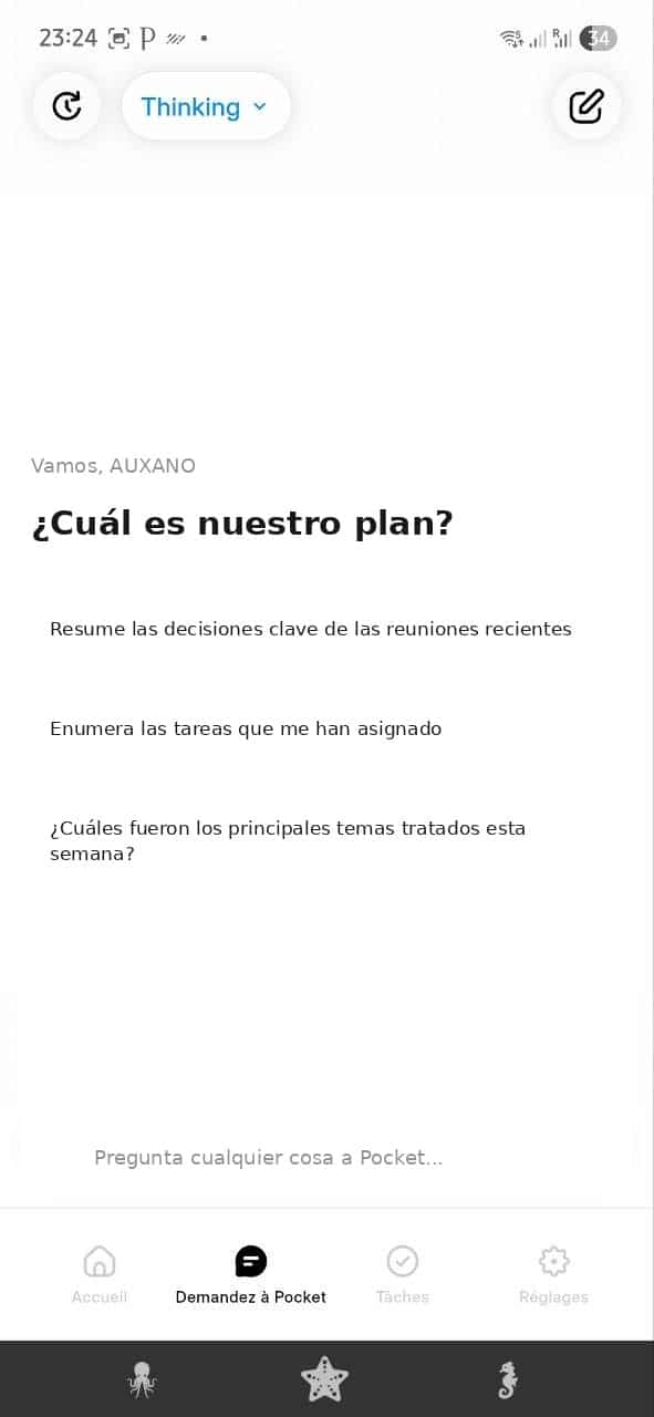 pocket ai opiniones - pregunta a pocket