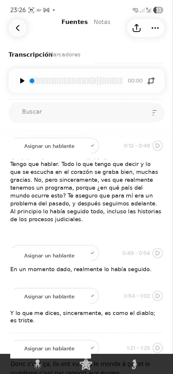 pocket ai opiniones - transcripción