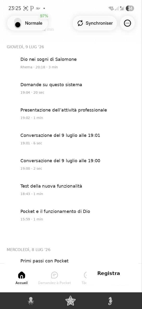 pocket ai recensione - home